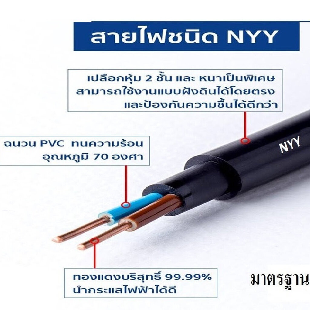 ANT สายไฟฝั่งดิน NYY เบอร์16 2แกน รุ่น 2x16 ความยาว 100 เมตร ยี่ห้อ ANT ฝังดินโดยตรง กันน้ำ กันชิ้น