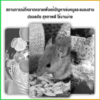 ลูกเหม็นไล่หนู ไล่หนู เบือหนู แรงๆ แห้ง 5 เม็ด / 10 เม็ด ต่อถุง Anti Rat Tool