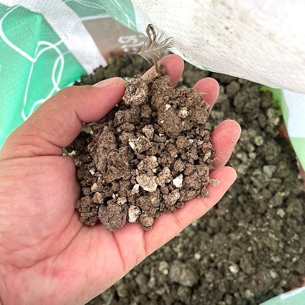 ขี้นกกระทาแห้ง 900 กรัม ธาตุอาหารสูง ไม่ผสมดิน ช่วยให้ผักเขียวสด ขี้จากนกกระทาตากแห้ง