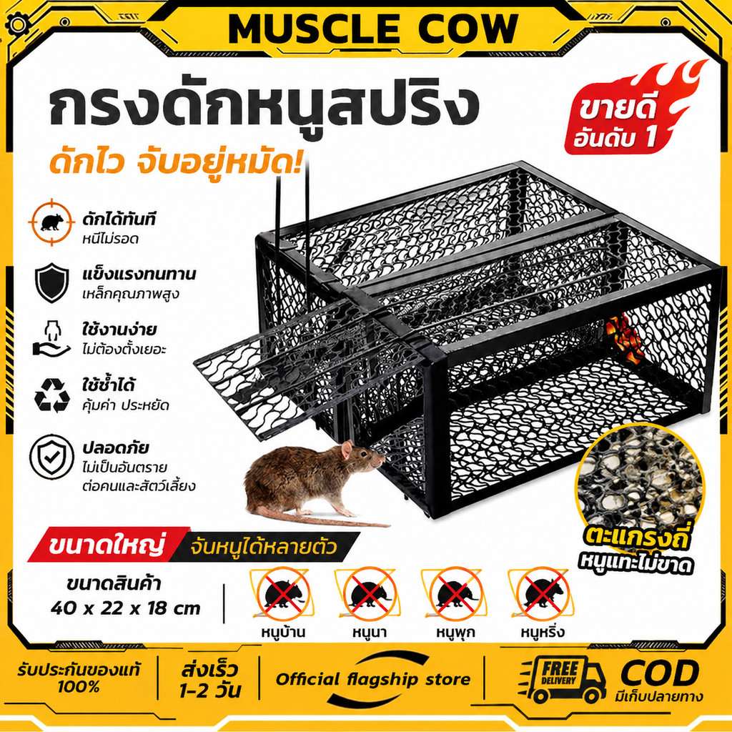 MUSCLE COW ขายร้อนใหม่ กรงดักหนูสปริงคุณภาพสูง กรอบหนา กรงดักหนูพร้อมกรอบ กรงดักหนูสปริงคู่ กรงดักหนูฟาร์ม