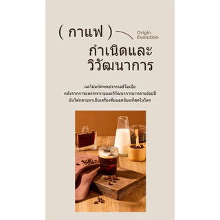 100% เมล็ดกาแฟคุณภาพสูง,กาแฟอาราบิก้าแท้