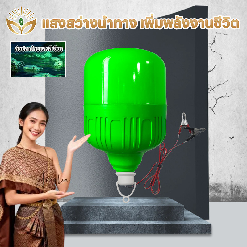 ไฟตกหมึก LED 800W DC12V คีบแบต แสงสีเขียว สว่างสูง ติดตั้งง่าย ใช้ตกปลากลางแจ้ง
