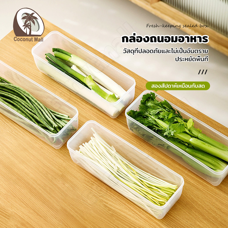 กล่องเก็บอาหาร กล่องสด กล่องใส่อาหาร ก๋วยเตี๋ยว กล่องเก็บผักชี พลาสติก มีให้เลือก กล่องถนอมอาหาร
