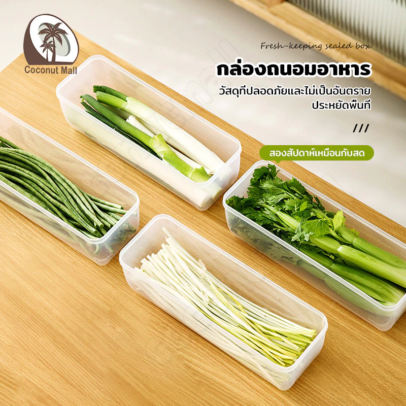 กล่องเก็บอาหาร กล่องสด กล่องใส่อาหาร ก๋วยเตี๋ยว กล่องเก็บผักชี พลาสติก มีให้เลือก กล่องถนอมอาหาร