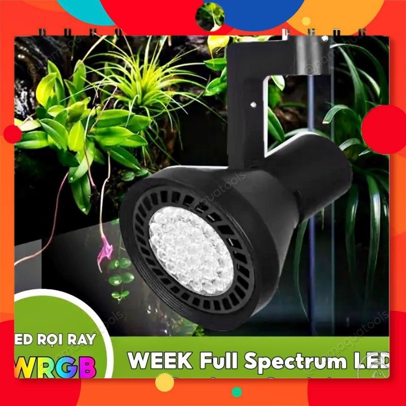 WEEK - สัปดาห์ Y30 สี WRGB ไฟ LED น้ําท่วมแบบเต็มสเปกตรัมสําหรับถังกึ่งภูมิประเทศและพิพิธภัณฑ์สัตว์น