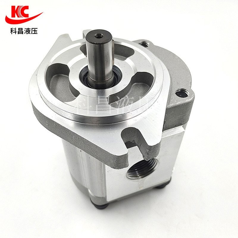 F28 เกียร์ปั๊ม F25 เกียร์ F19F17F30R ปั๊มน้ํามัน F11HGP-3A-F6F23 F8F14 VSY5