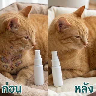 สเปรย์เชื้อราสุนัขแมว รักษากลากเกลื้อน ขี้เรื้อน ผิวหนังสัตว์เลี้ยง คันแดง ดูแลผิว 30ml