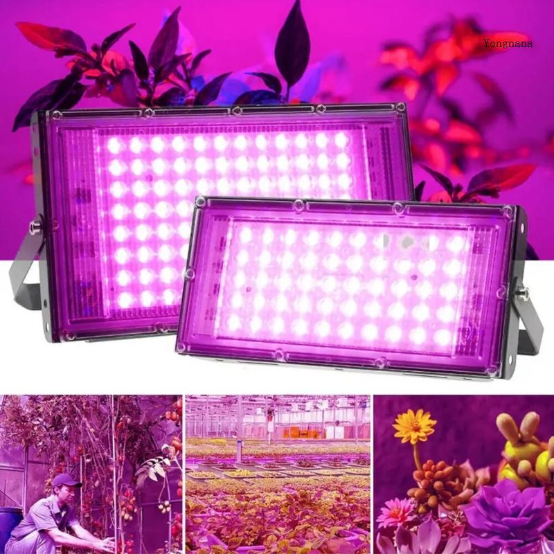 CH* พืชขนาดกะทัดรัด LED Grow Light Phyto โคมไฟสําหรับในร่มกลางแจ้งพลังงานทําสวนที่มีประสิทธิภาพเรือน