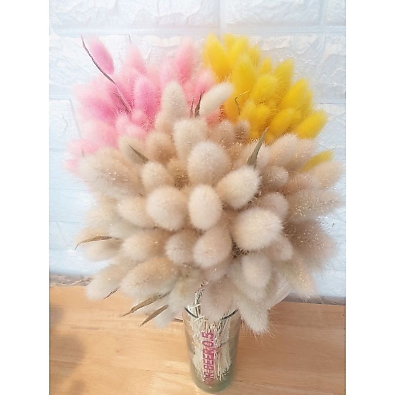 ดอกไม้ ดอกหางกระต่ายกำใหญ่สีธรรมชาติ จำนวน 120-130 ดอก จำนวน 1 กำ