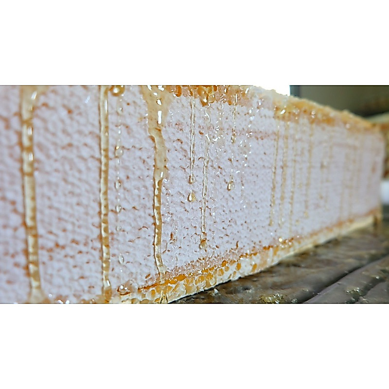 รวงผึ้ง 6 แผ่นใหญ่ (Honeycomb) ออร์แกนิก [ มี อย. ] และ [ มาตรฐาน GAP ] ธรรมชาติ 100%