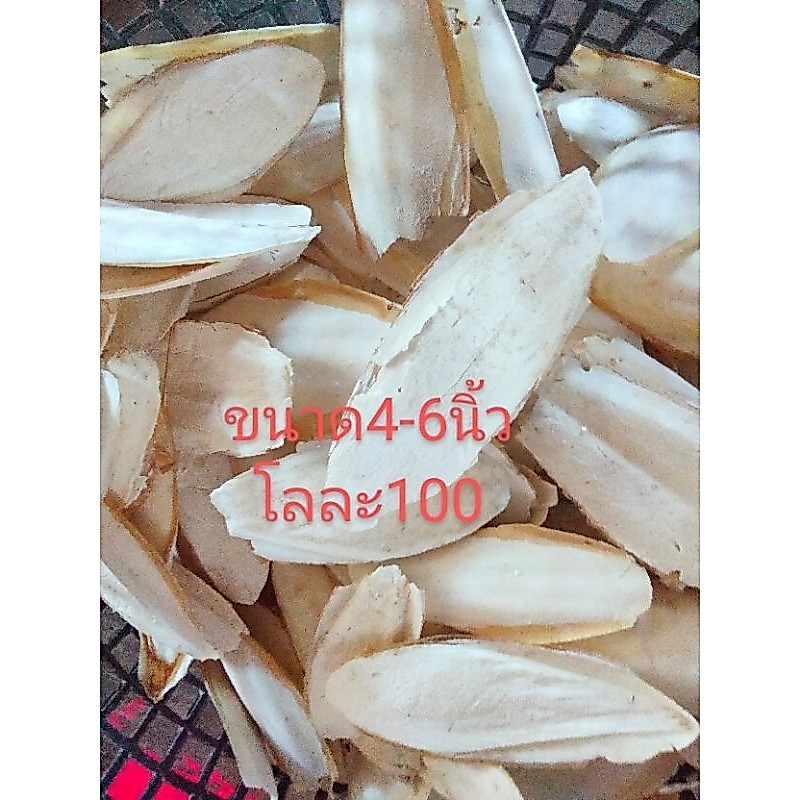 สุดคุ้ม1กิโล100บาท..