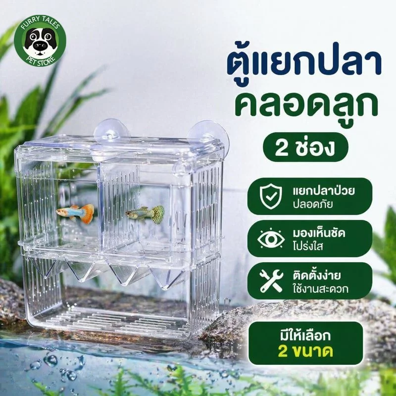 กล่องแยกปลา ตู้เพาะพันธุ์ปลา 2 ช่อง วัสดุใส