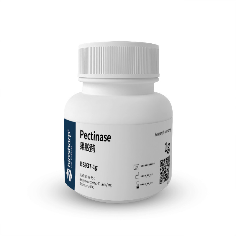 Bs BS937-1g สวนผลไม้กาว/Pectinase[1g] 2-8℃   1g
