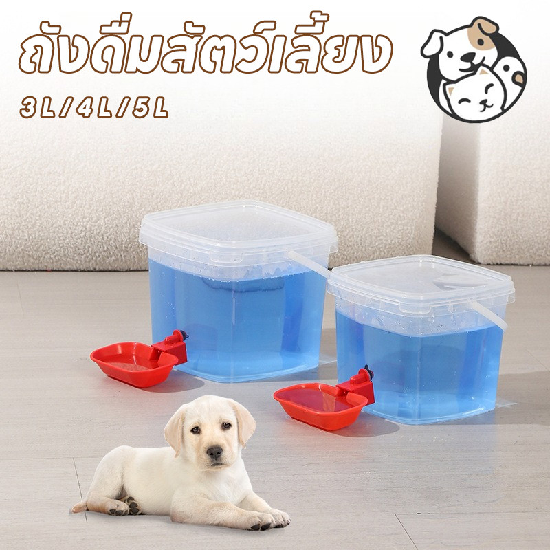 FOR_PET เครื่องป้อนน้ําอัตโนมัติสําหรับสัตว์เลี้ยง   ความจุขนาดใหญ่ 3 L / 4 L / 5 L นักดื่มถัง แมวและสุนัข