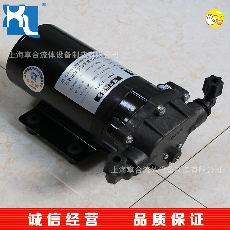 DP ปั๊มไดอะแฟรมไมโครแรงดันสูงปั๊มทําความสะอาดแรงดันสูง DP-125 ปั๊มน้ํามณฑลซานตง