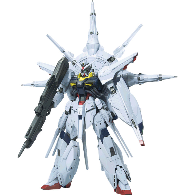 Bandai Model MG 1/100 Tiandi gundam/gundam