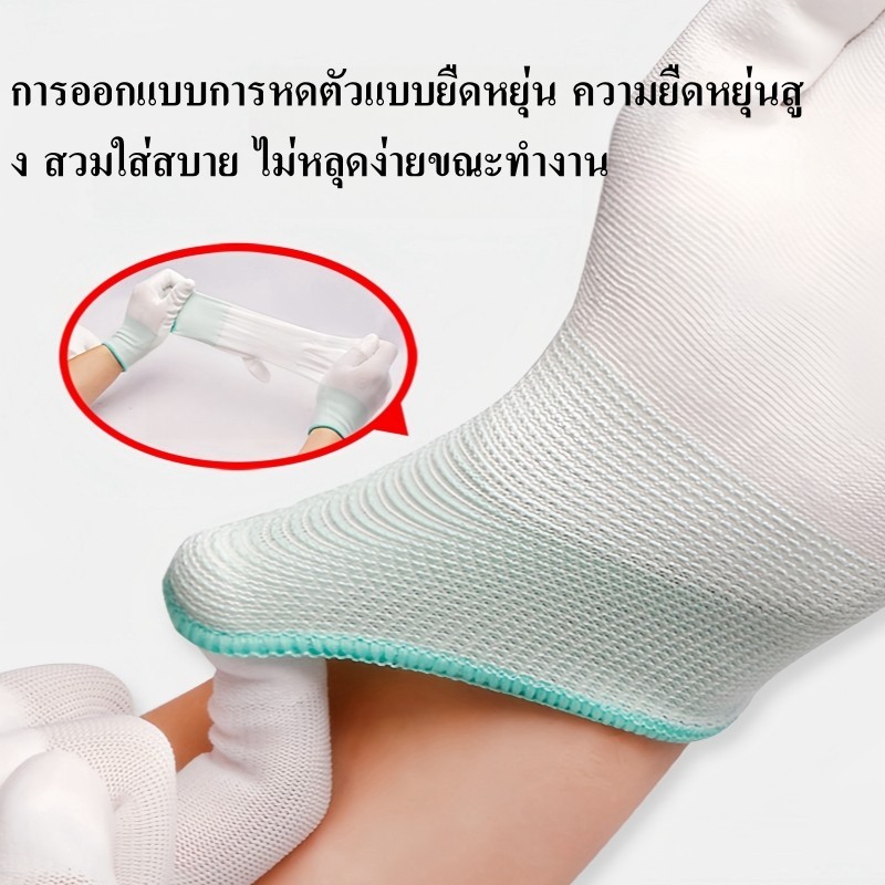 รูปภาพ 8