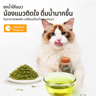 FOR_PET กัญชาแมว ผงแคทนิป 100ml แถมช้อนตัก หญ้าแมวกินได้ ช่วยขับก้อนขน ลดกลิ่นปาก ผ่อนคลาย สำหรับลูกแมว Catnip Powder