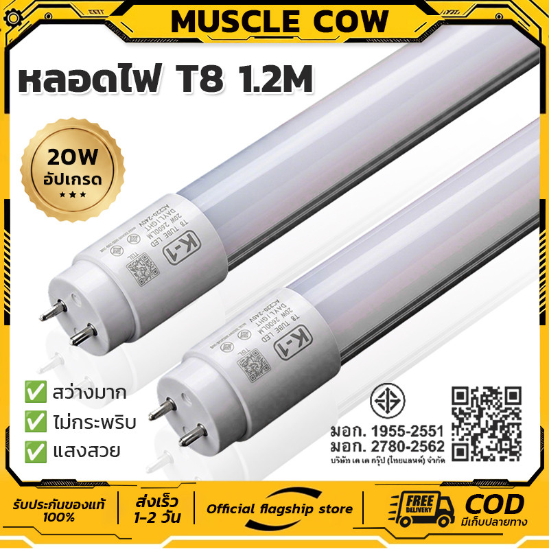 หลอดไฟนีออน LED T8 1.2 เมตร 20W แสงสีขาว สว่างชัด ประหยัดพลังงาน ห้องนอน สำนักงาน ออฟฟิต（1หลอด）