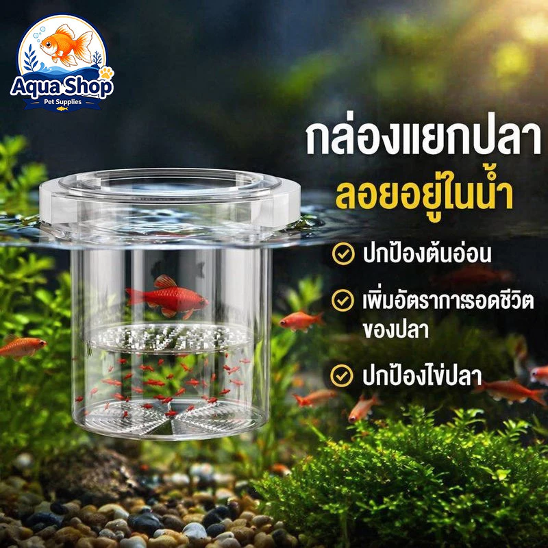 กล่องแยกปลา ตู้แยกปลา ลอยน้ำ