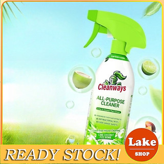 Lake 99.9%Germ Kill Multipurpose Cleaner|PowerfulStainRemoval forKitchenBathroomWholeHouse