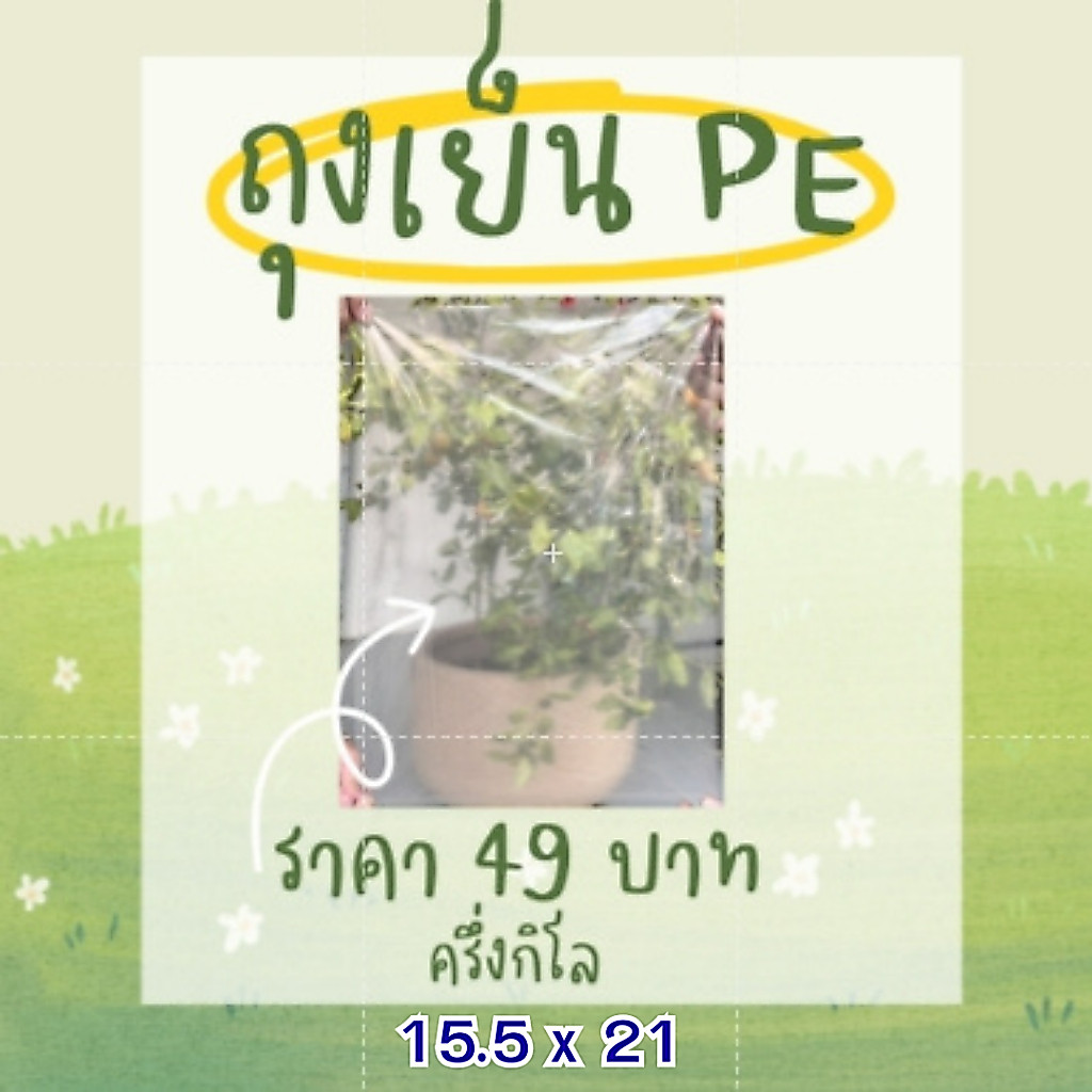 ถุงเย็น 15.5x21 PE แบบบาง ถุงใส่มะลิ น้ำหนัก0.5kg.