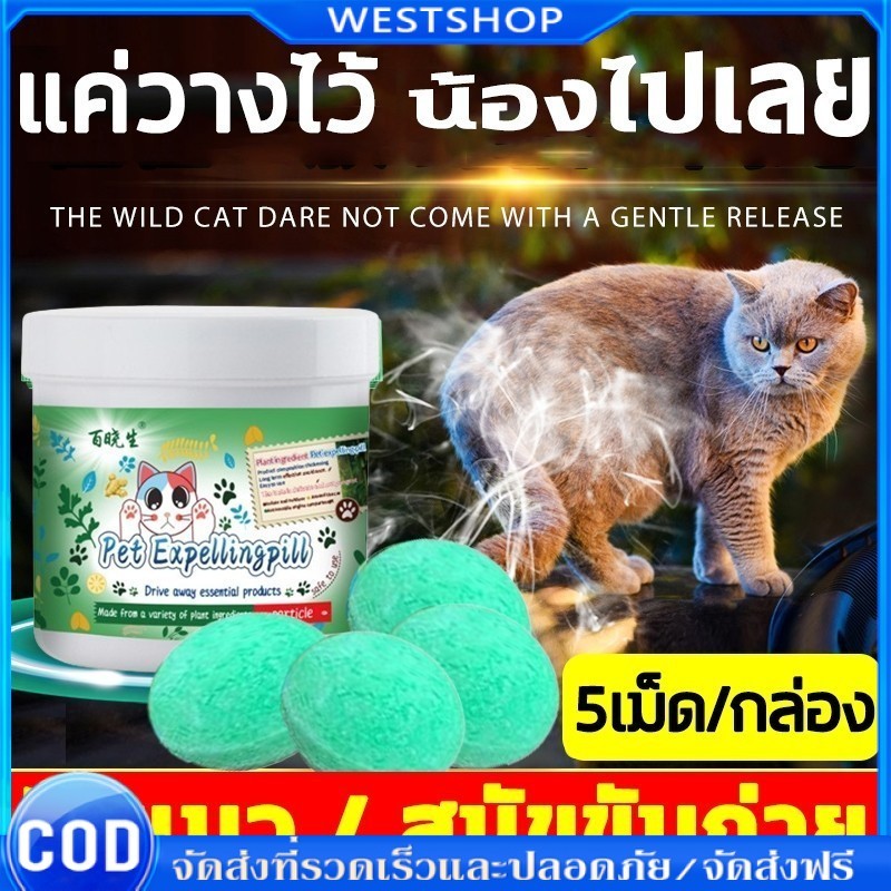 🐱สูตรล่าสุดไล่แมว ไล่แมว ไล่แมวเข้าบ้าน ไล่แมวมาขี้ ก้อนไล่แมว สเปรย์ไล่แมว สเปรย์ไล่หมา ป้องกันสุนัข แมว ขับถ่าย ปลอดภั