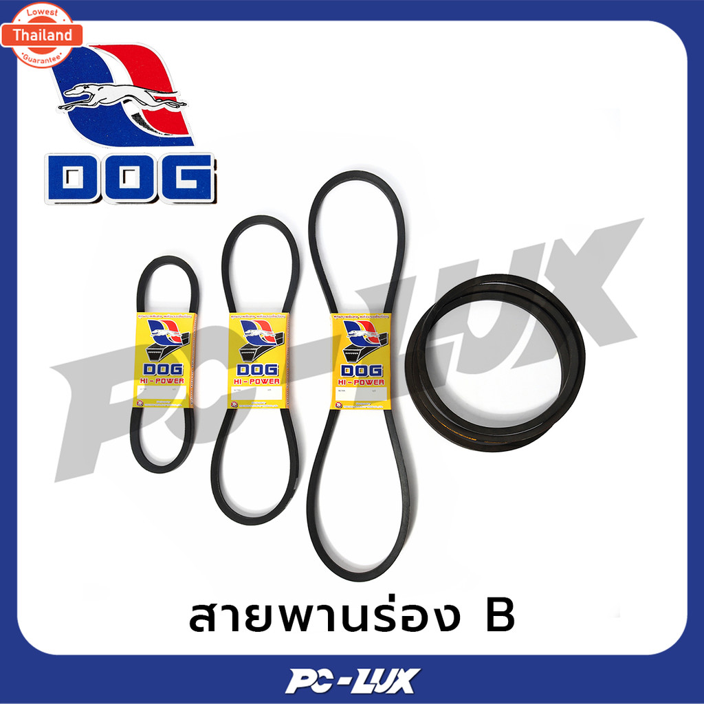 DOG สายพานร่อง B  รุ่น B82-B197