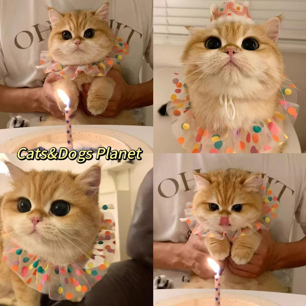 Cat Bib หมวกสัตว์เลี้ยงวันเกิด Photo Prop ผ้าโพกหัวสุนัขน่ารักเครื่องแต่งกายอุปกรณ์เสริมสําหรับฉลองตกแต่ง
