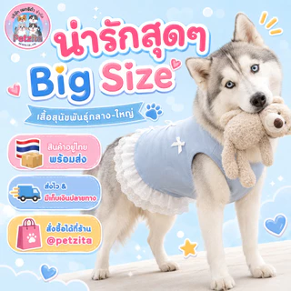 🇹🇭พร้อมส่ง🇹🇭 เดรสฟ้าล้วนแต่งชายลูกไมัสุดน่ารัก ใส่สบาย เสื้อสุนัขพันธุ์ใหญ่ หมาพันธุ์กลาง หมาอ้วน สุนัข สัตว์เลี้ยง