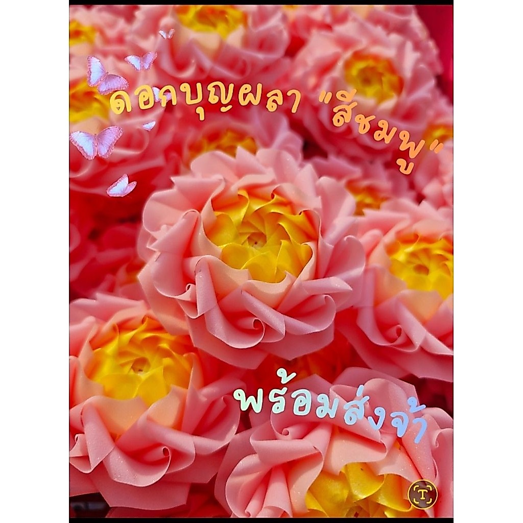 หร้อมส่ง!โปรยทานดอกบุญผลาสีชมพู ตัวเปล่า แพค10ชิ้น