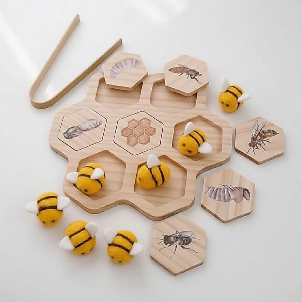 ชุดการเรียนรู้วงจรชีวิตผึ้งมอนเตสซอรี่ (Montessori Bee Life Cycle Toy) มือ1