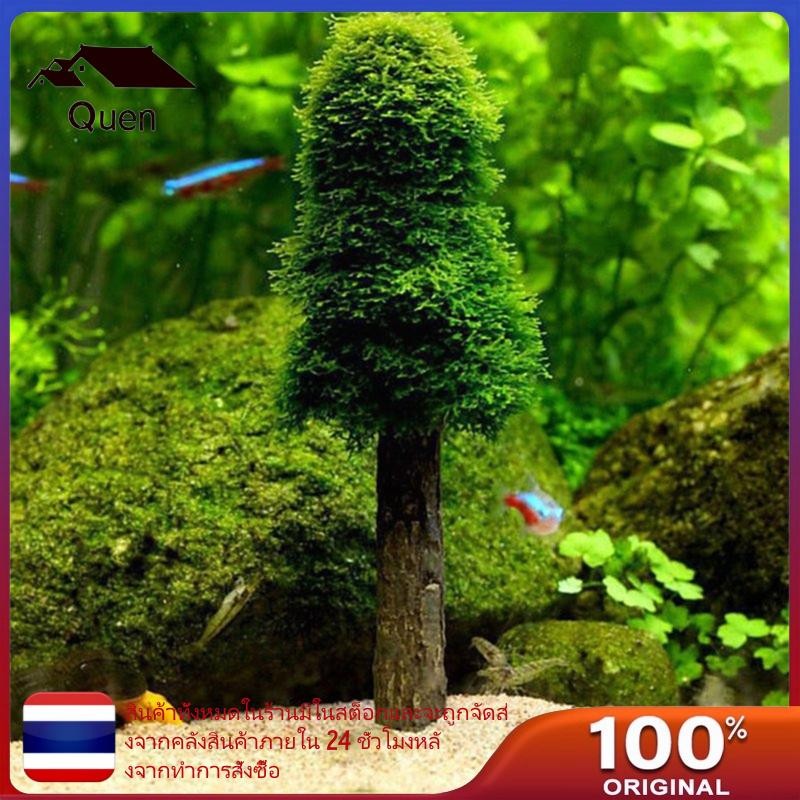Queen Aquarium Moss Holder สําหรับ DIY Growing Live Mini Trees ถังกุ้งตกแต่งปลาสําหรับอุปกรณ์เสริมถั