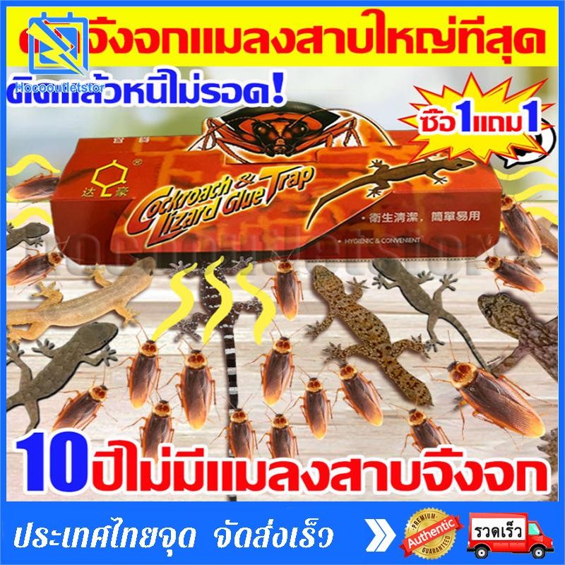 gecko trapใหญ่ที่สุด กาวดักจิ้งจก กาวดักแมลงสาบ บ้านจิ้งจก กําจัดจิ้งจก ที่ดักแมลงสาบ ปลอดภัยและปลอด