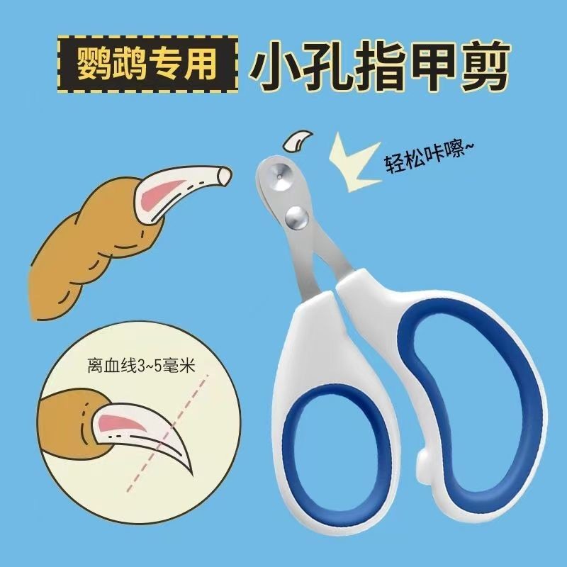 鹦鹉专用指甲剪鸟爪子指甲剪新手磨甲器虎皮玄凤牡丹小鸟用具笼子Nail clippers for parrot bird paw nail clippers novice20250924
