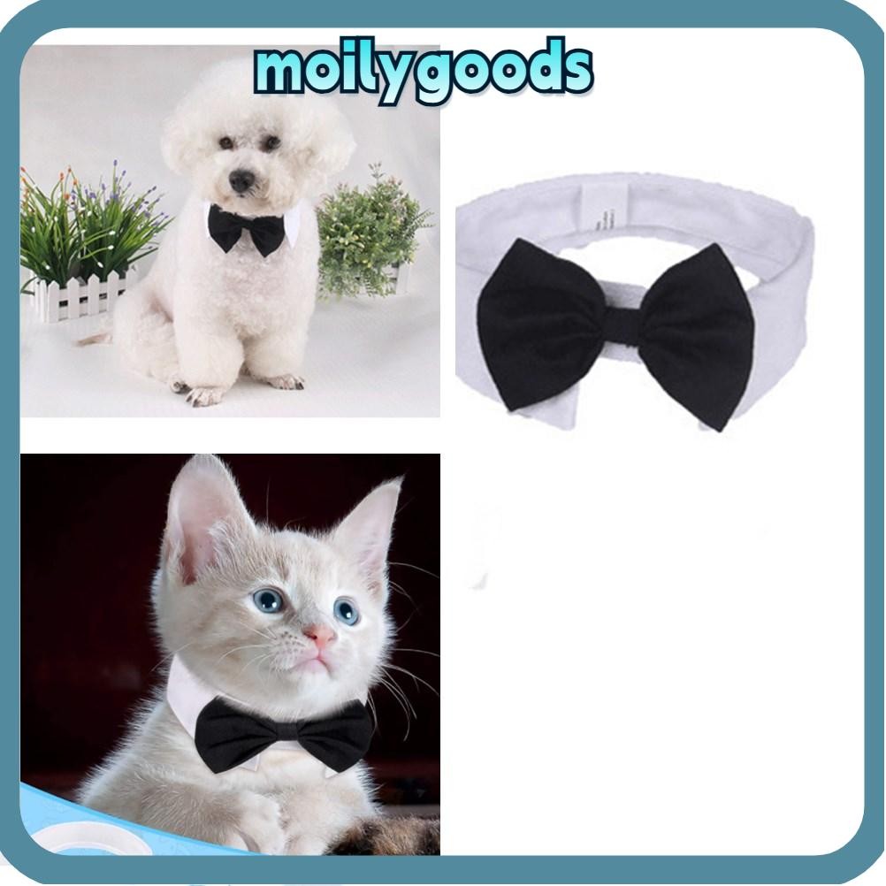 MOILYHD Cat Tuxedo Collar Weddings Birthday Party Puppy Pet Official Tuxedo