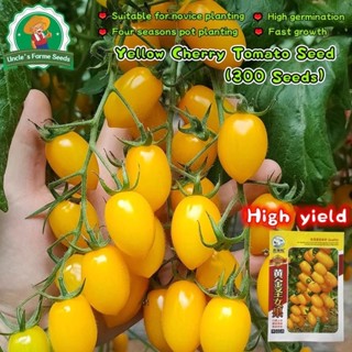 เมล็ดพันธุ์ มะเขือเทศ เชอรี่ สีเหลือง บรรจุ 300เมล็ด Yellow …