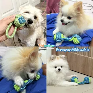 เชือกกัดสุนัข ของเล่นเชือกถักหมา–แมว ทนทาน ขัดฟันได้ ของเล่นหมาไหมถัก ฟันสะอาด เชือกกัดฟันสุนัข แบบปมคู่ ทนแรงดึง