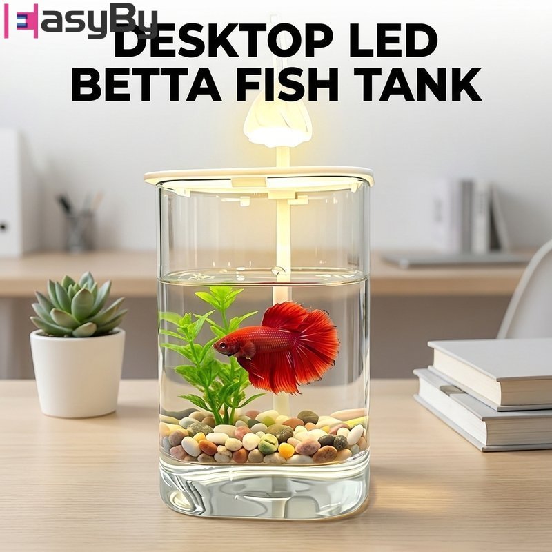 จัดส่งรวดเร็ว ตู้ปลา ตู้ปลากัดขนาดเล็ก 15*10CM ไฟสร้างสรรค์ USB สร้างบรรยากาศสวยงาม