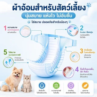 พร้อมส่ง✅🐱ผ้าอ้อมสัตว์เลี้ยง ผ้าอนามัยสุนัข หมาตัวผู้/หมาตัวเมีย ผ้าอ้อมน้องหมา ผ้าอ้อมแมว 12pcs