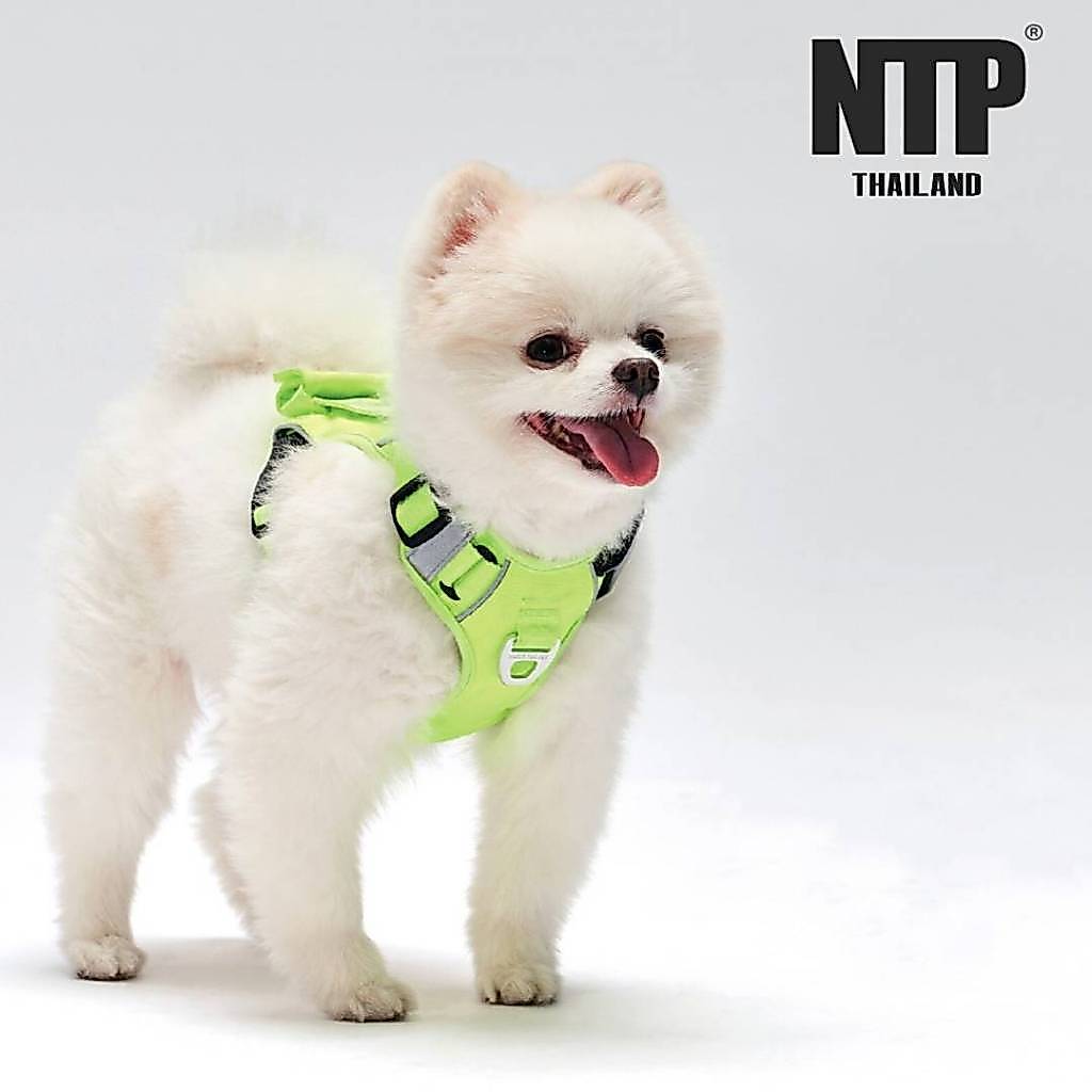 NTP สายรัดอกสุนัข Air cooling Harness