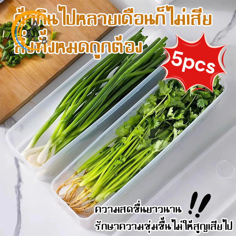 Fresh Boxกล่องเก็บผักผลไม้ กล่องมหัศจรรย์ ยืดอายุผักผลไม้ให้สดใหม่ เก็บได้นานขึ้น จัดตู้เย็นเป็นระเบียบ