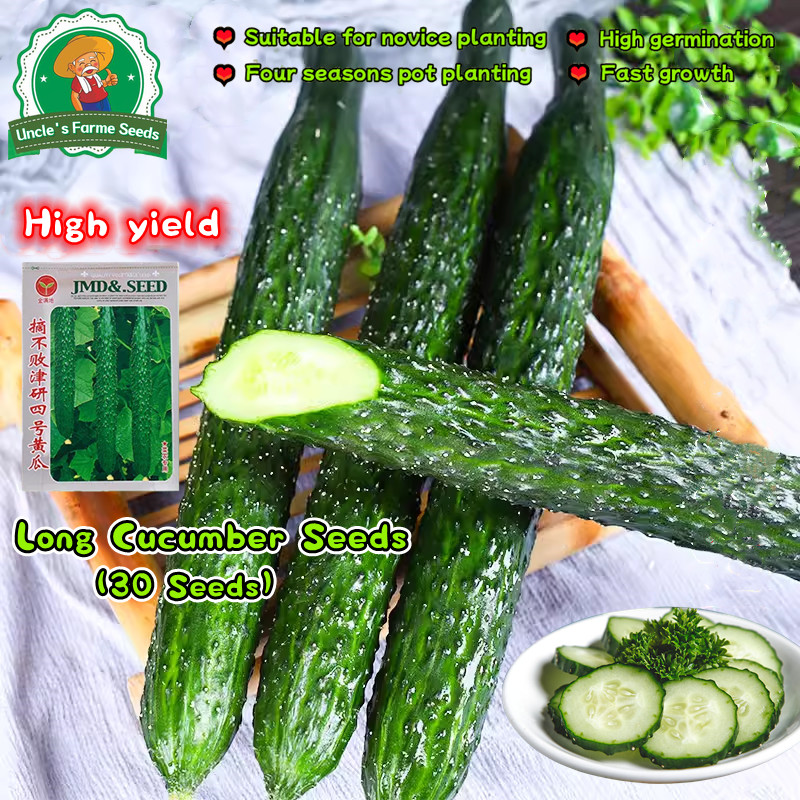 30 เมล็ด เมล็ดเมล็ดพันธุ์แตงกวา เมล็ดแตงกวาญี่ปุ่น Japanese Cucumber Seeds Organic Vegetable Seeds for Planting Plant