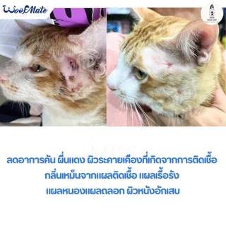 WoofMate วูฟเมท l สเปรย์พ่นเชื้อรา l คันขี้เรื้อนผิวหนังอักเสบแผลหนอง (มี2ขนาด)