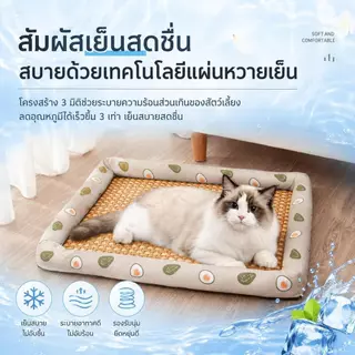 【Pet Zap】พร้อมส่ง ส่งไว แผ่นเจลเย็นสัตว์เลี้ยง ที่นอนเย็นแมว เสื่อระบายความร้อนสุนัข ที่นอนเสื่อหวายหมา CW-091