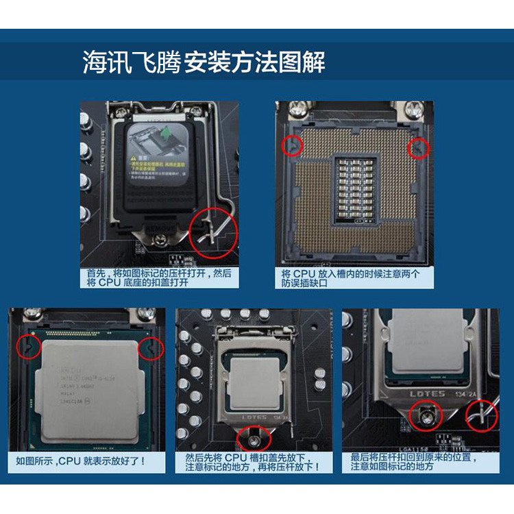 G5900T G5905 G5905T G5925 G6400 G6405 G6405T G6500 CPU เม็ดหลวม