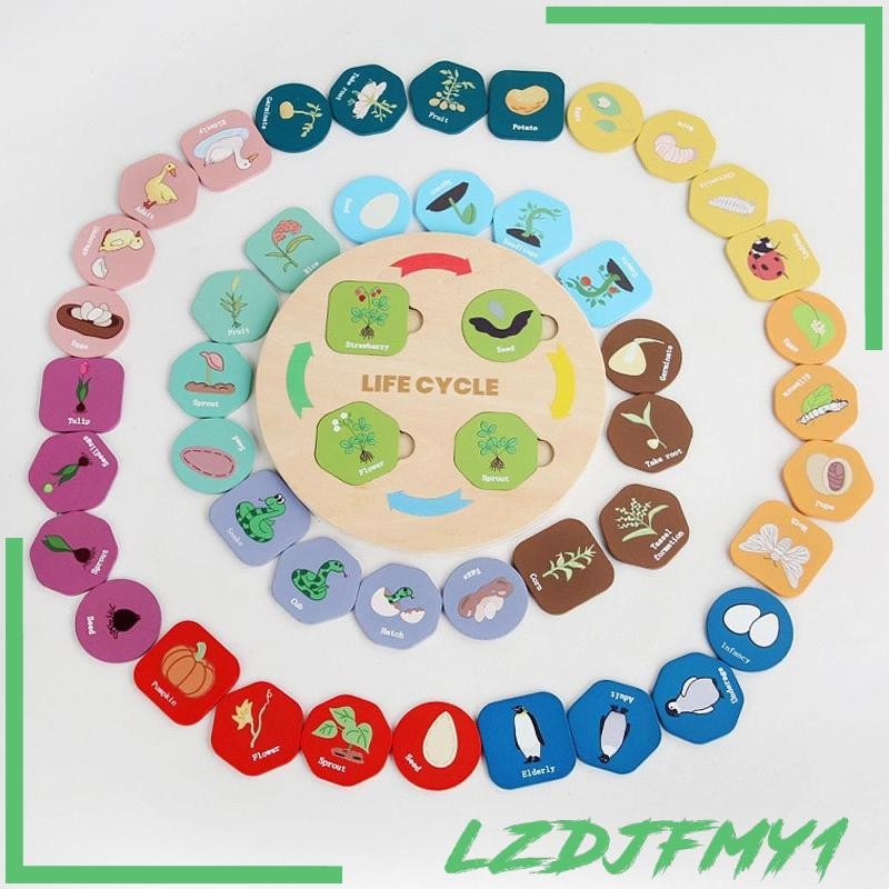 [Lzdjfmy1] Montessori Life Cycle Puzzle Board Kit สําหรับห้องเรียนเด็กอายุ 3 4 5 6 7 8+