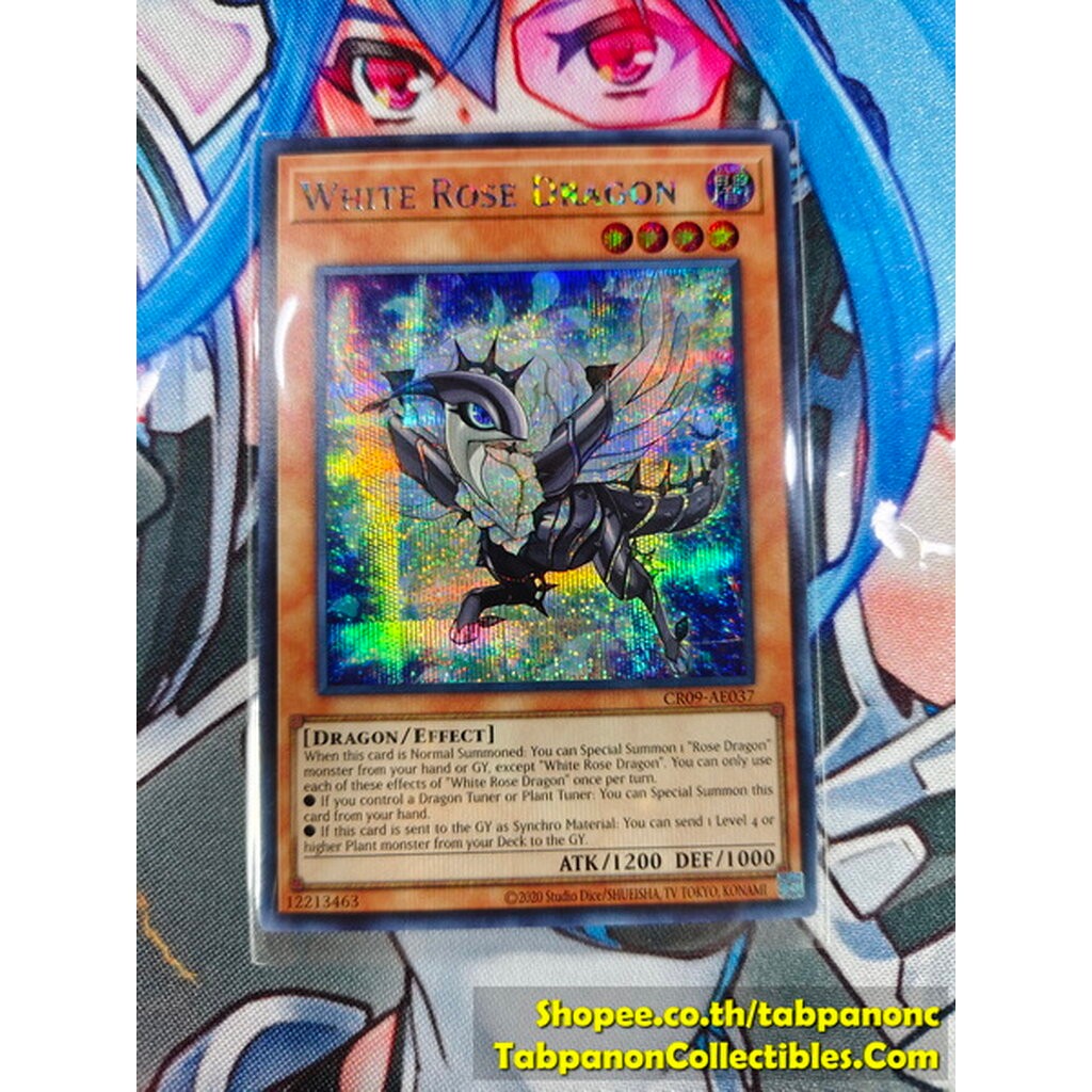 CR09-AE037 White Rose Dragon - SCR
