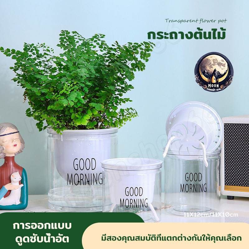 กระถางต้นไม้โปร่งใส 2 ชั้น ดูดซับน้ำอัตโนมัติ พลาสติกใสแข็งแรง รดน้ำต้นไม้เอง ขี้เกียจไม่ต้องดูแลบ่อย