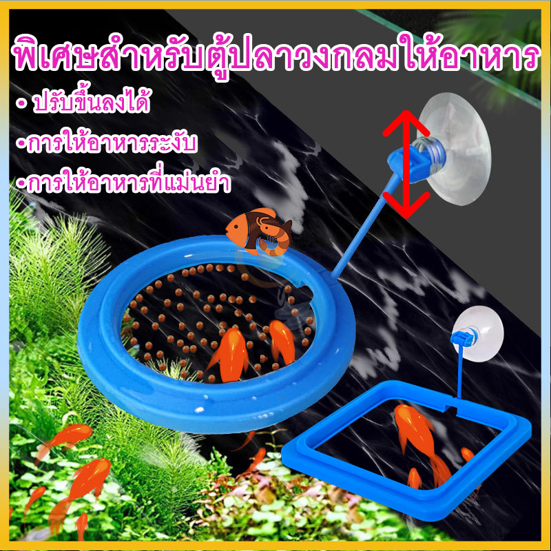 (พร้อมส่ง)ห่วงให้อาหารปลา FEEDING RING ที่กั้นอาหารปลา 	ที่ให้อาหารปลา ติดตู้ปลา ลอยน้ำ ไม่ทำให้น้ำเสีย